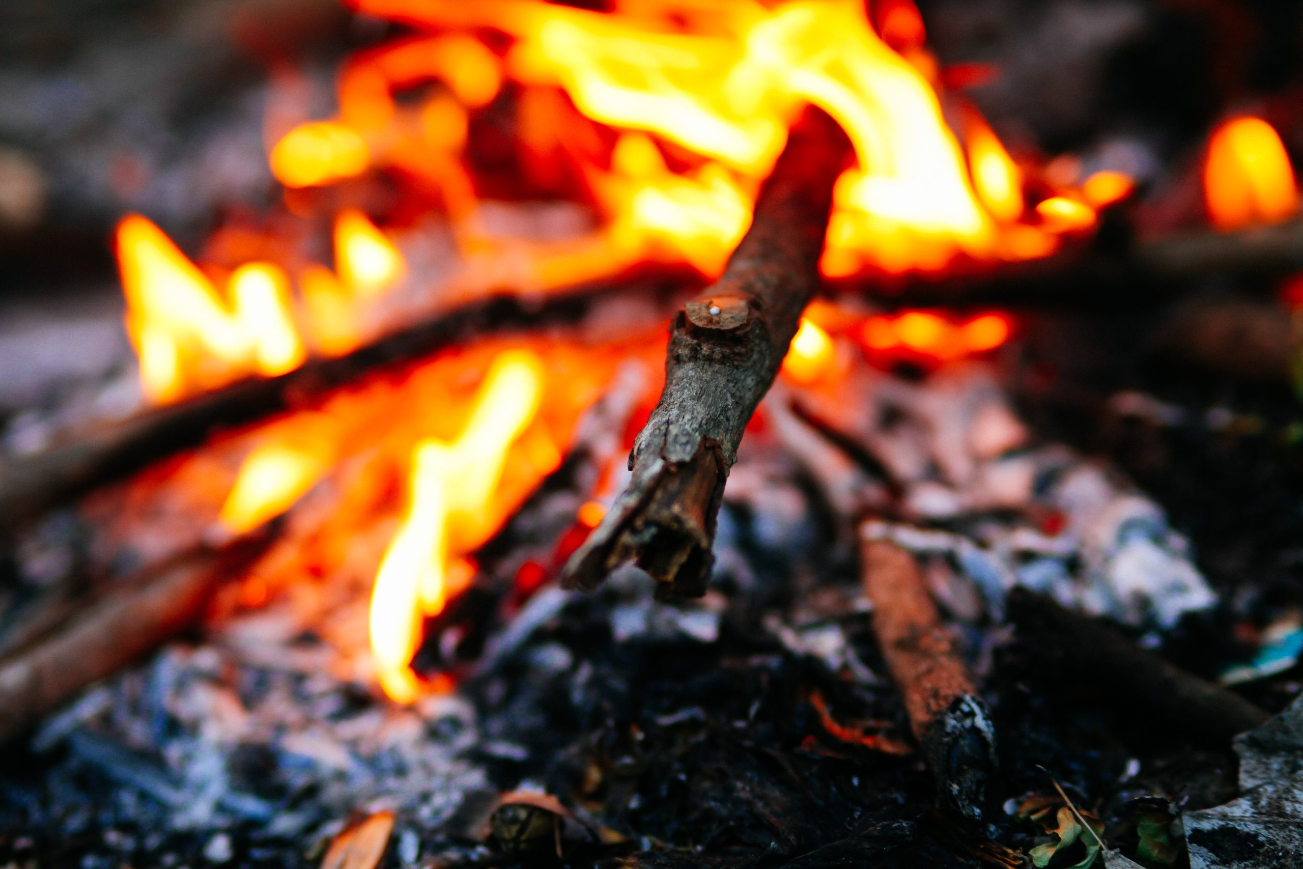 Du bois brulant dans un feu de camp.